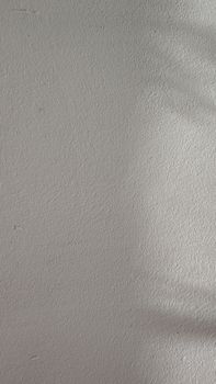 Detailed close-up of a white textured wall surface with light shadows.