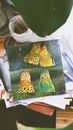 Collage of Birds with Googly Eyes