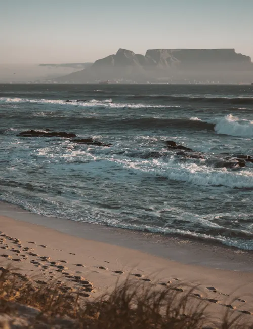 When to Visit Cape Town: The Ultimate Season-by-Season Guide