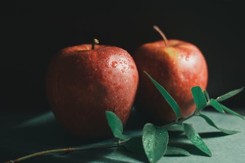 Fresh wet apples with green sprig on table