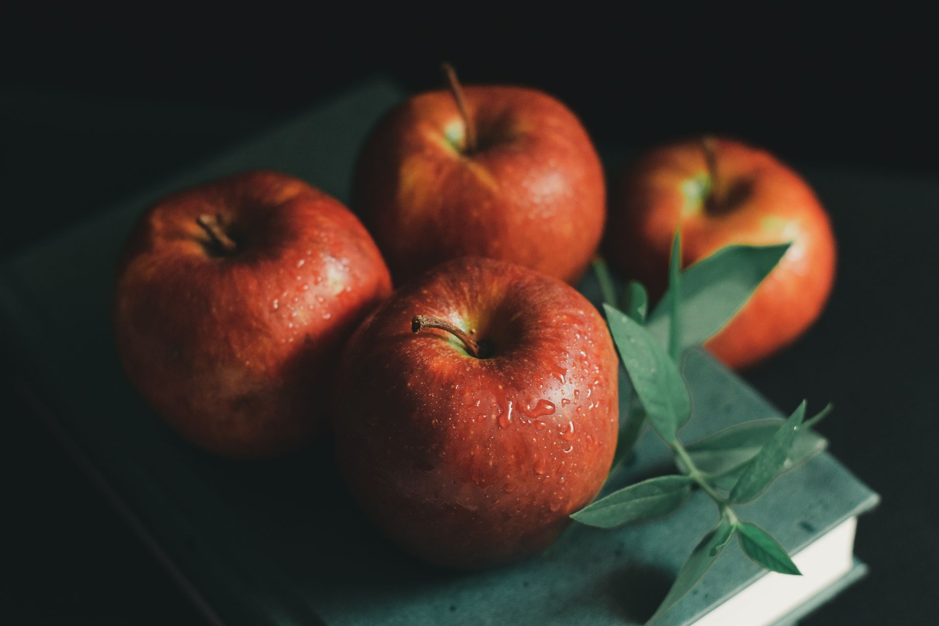 From above of similar fresh red apples with water drops on surface near sprig with spiky leaves on book on black background