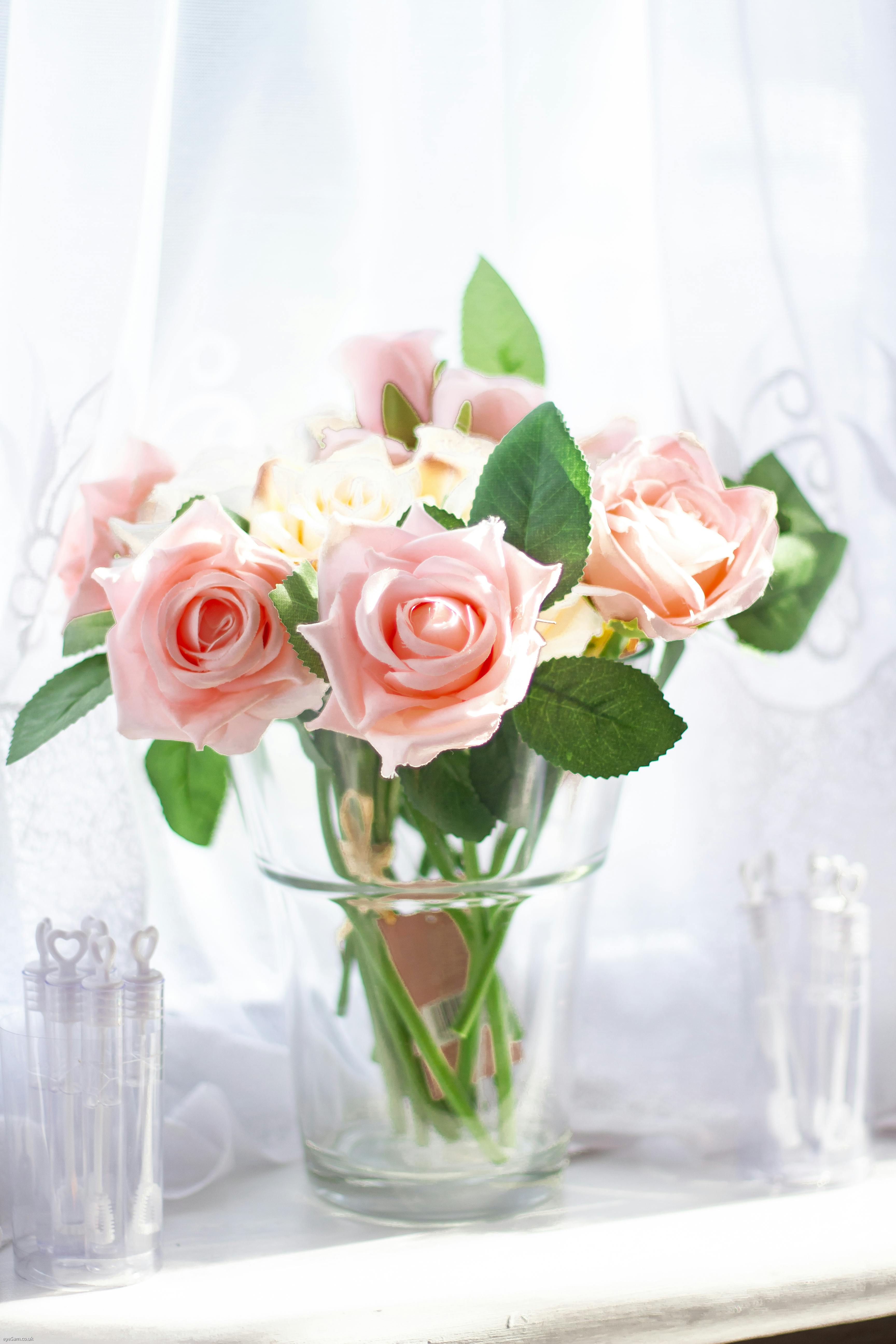 Pink Rose Near the Window · Free Stock Photo