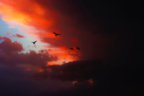 Foto profissional grátis de acima das nuvens, alaranjado, azul