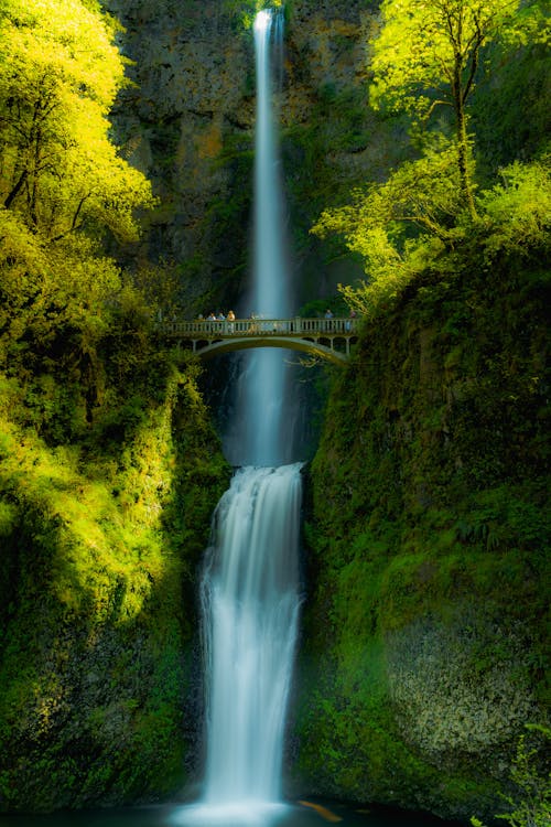 Spectacular waterfall falling from green cliff with trees behind bridge with people on sunny summer day in countryside