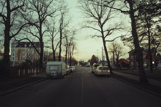 Peaceful urban street in Berlin with bare trees lining the road during winter.