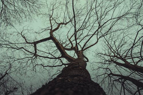 Stranger Things 5: New BTS Leaks Hint at a Darker Tone — Fans Blame the Winter Mood for Extra Hype