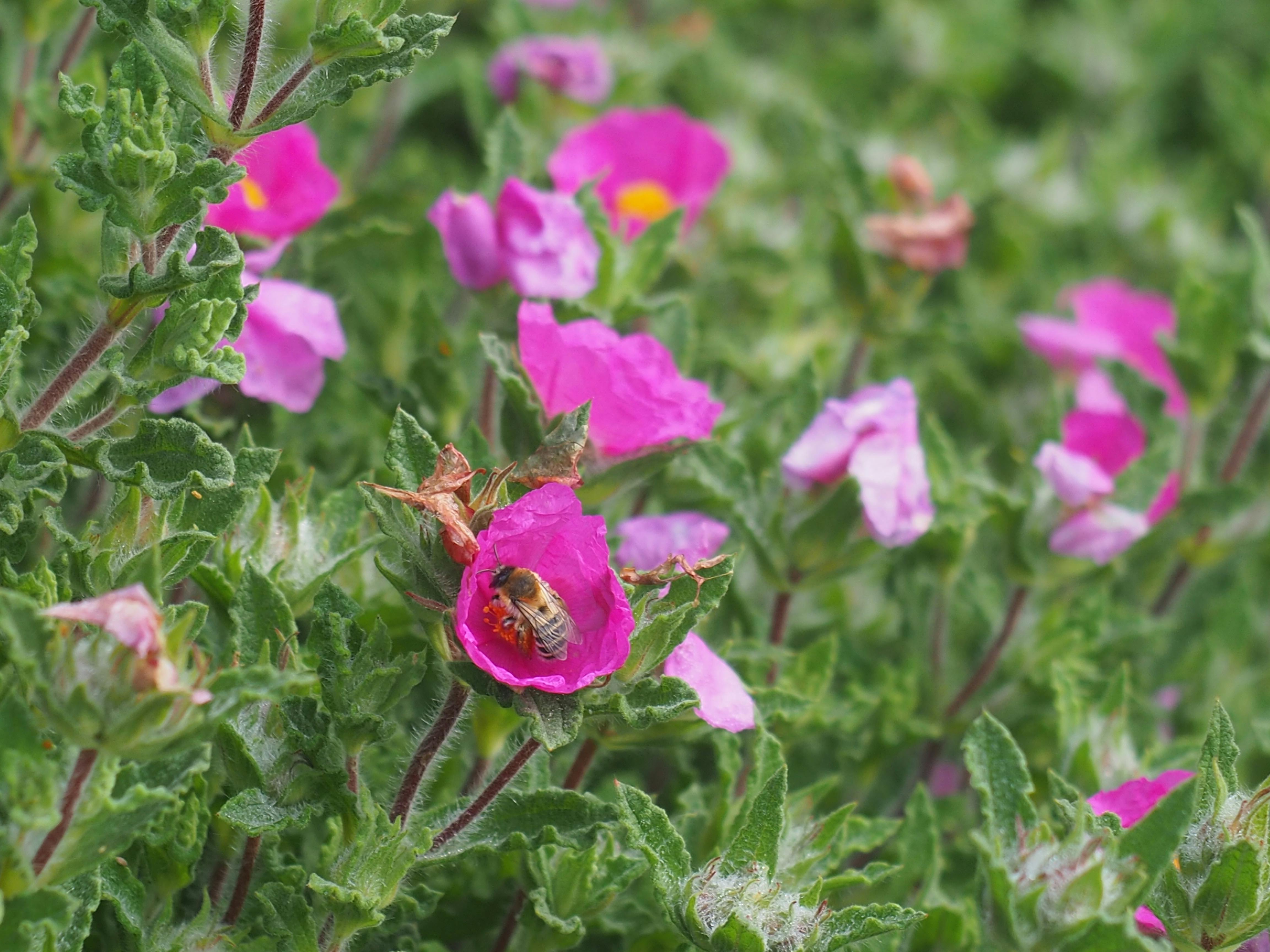 Teenager sitting alone looking at smartphone with mixed emotions