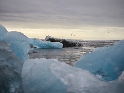 Бесплатное стоковое фото с айсберг, Арктический, белый