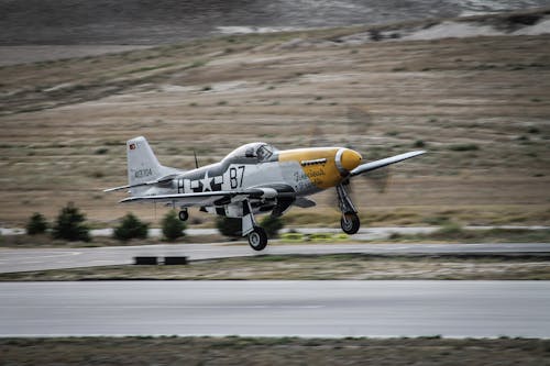 Fotos de stock gratuitas de aeronave, aeropuerto, avión