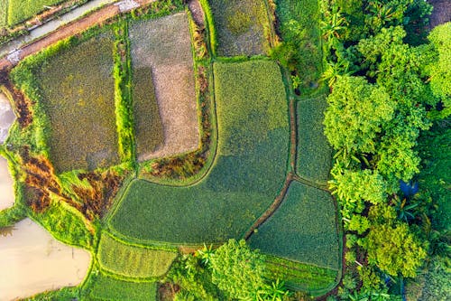 Δωρεάν στοκ φωτογραφιών με αγρόκτημα, αγροτική περιοχή, εναέρια λήψη