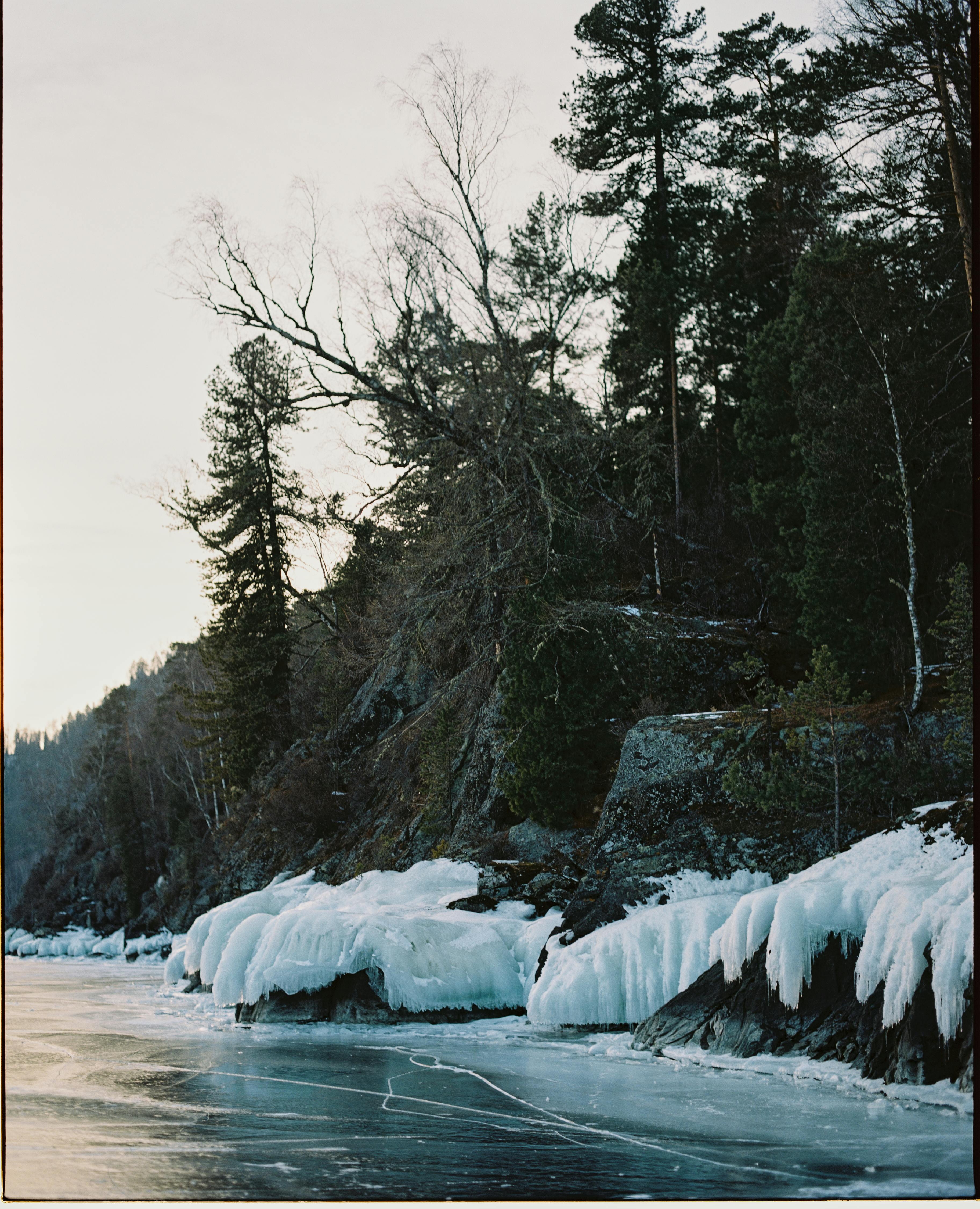 Majestic winter landscape of snowy rocky coast of frozen lake with coniferous trees growing on stones