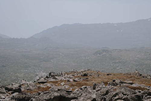 Gray and Black Rocks on Seashore