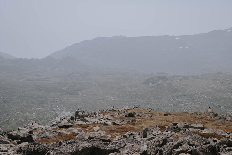 Aerial Shot Of A Landscape