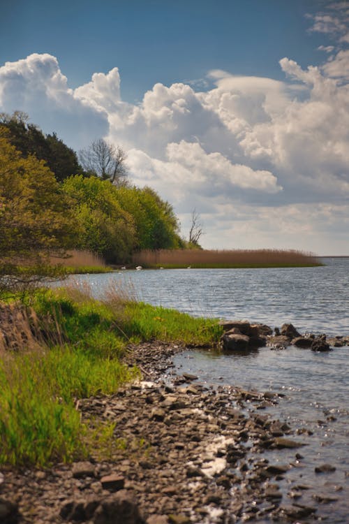 Ilmainen kuvapankkikuva tunnisteilla järvi, rannikko, seside