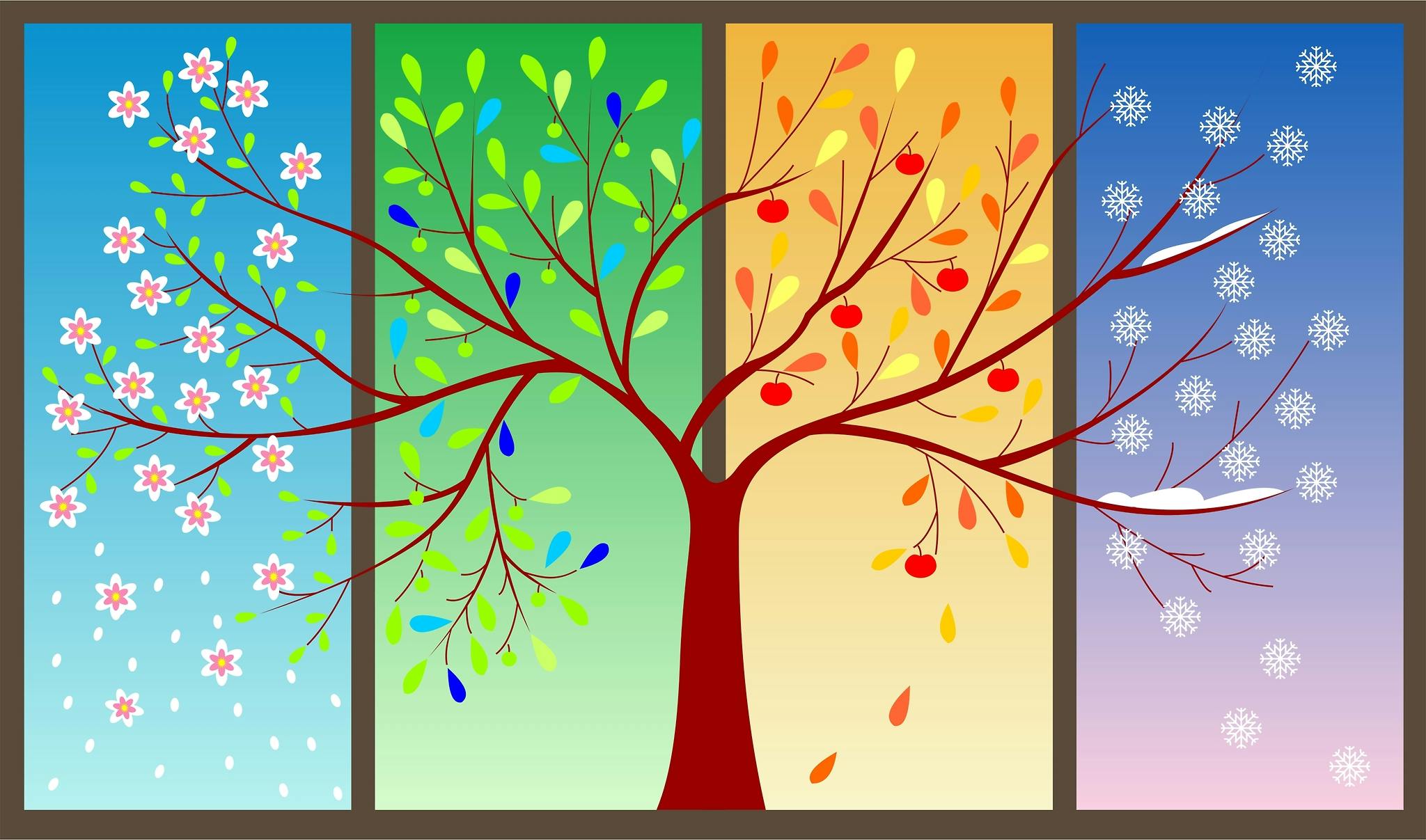 Free stock photo of Four seasons, summer, tree