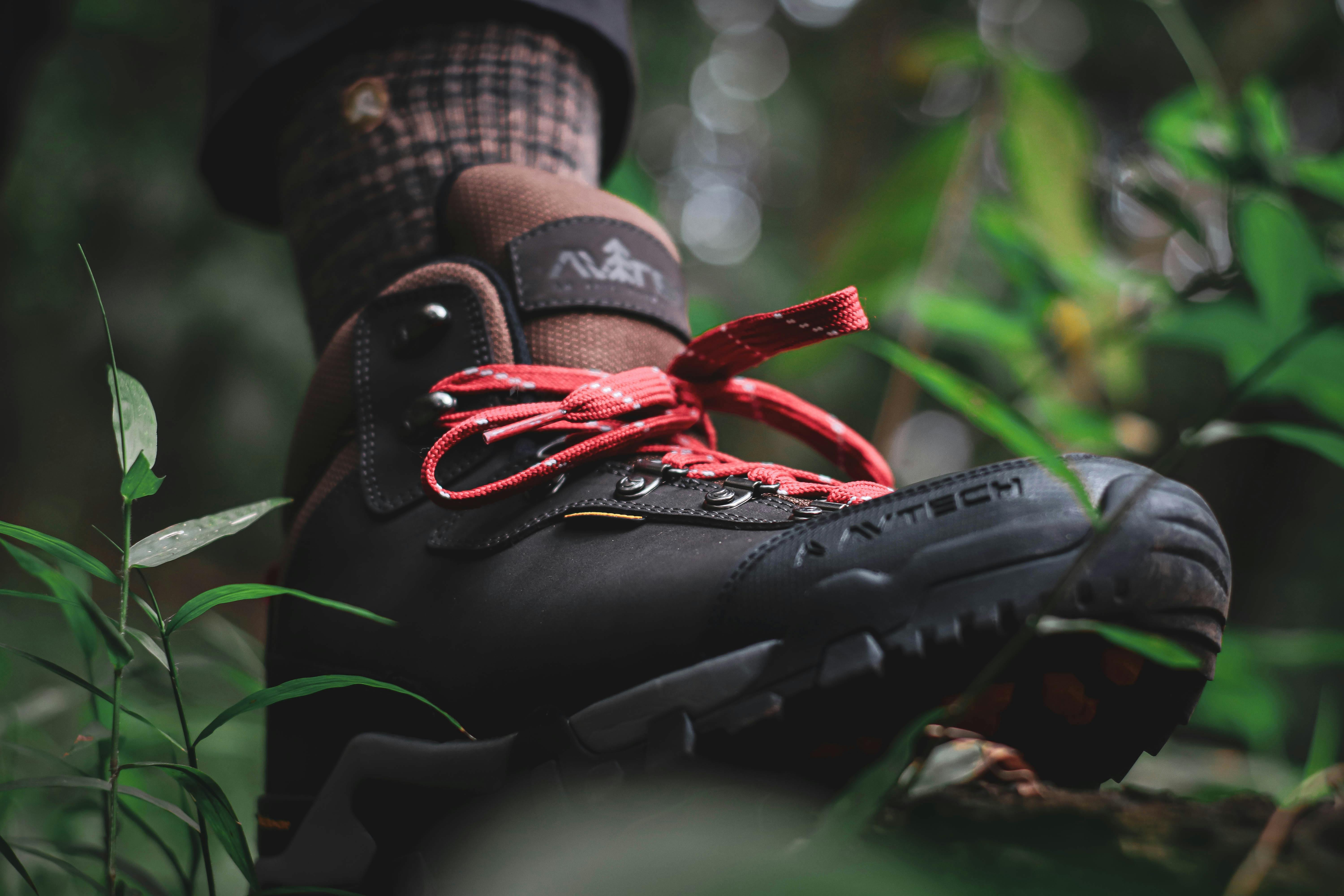 Close-up of a rugged hiking boot with red laces surrounded by green forest plants.