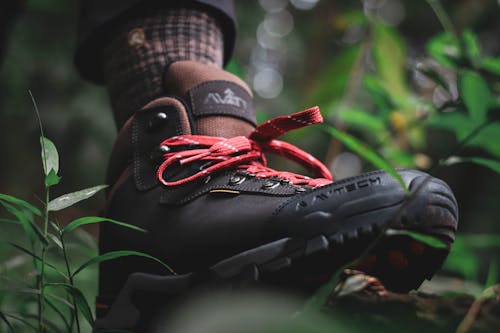 Low angle of foot of anonymous person in black boot walking in green forest