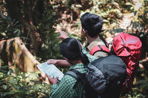 Male tourists with map standing in forest