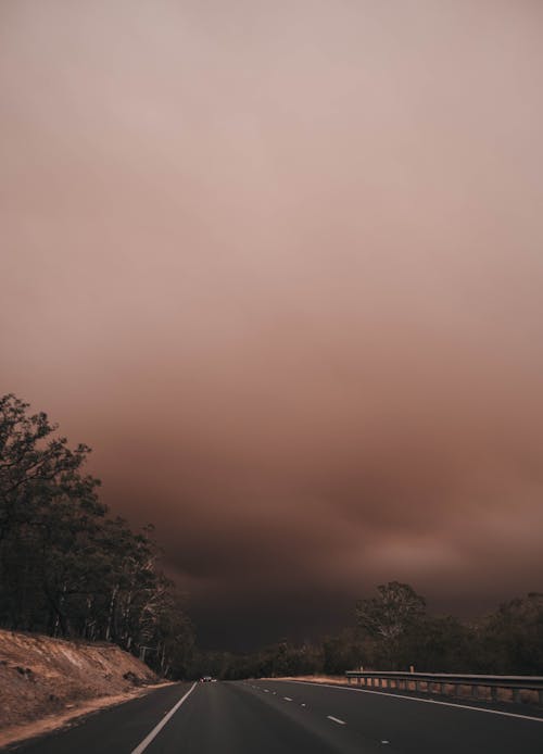 Green Trees Under Gray Sky