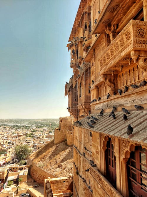 mehrangarh, 中世紀, 印度 的 免费素材图片