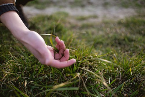 Crop unrecognizable female in knitted wear touching green grass while spending time in nature