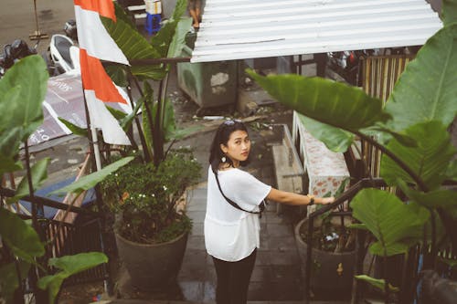 Ingyenes stockfotó ázsiai nő, kézben tart, korlát témában