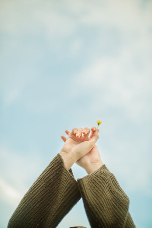 Low angle of crop anonymous female in warm knitted wear holding small yellow flowers in raised hands against blue cloudy sky