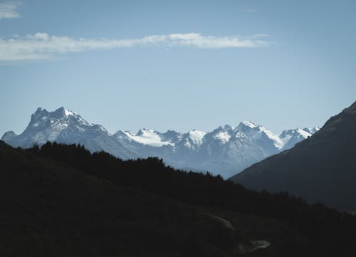 ニュージーランド, 山, 木の無料の写真素材