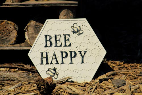 Gratuit Imagine de stoc gratuită din albină, conceptual, fii fericit Fotografie de stoc