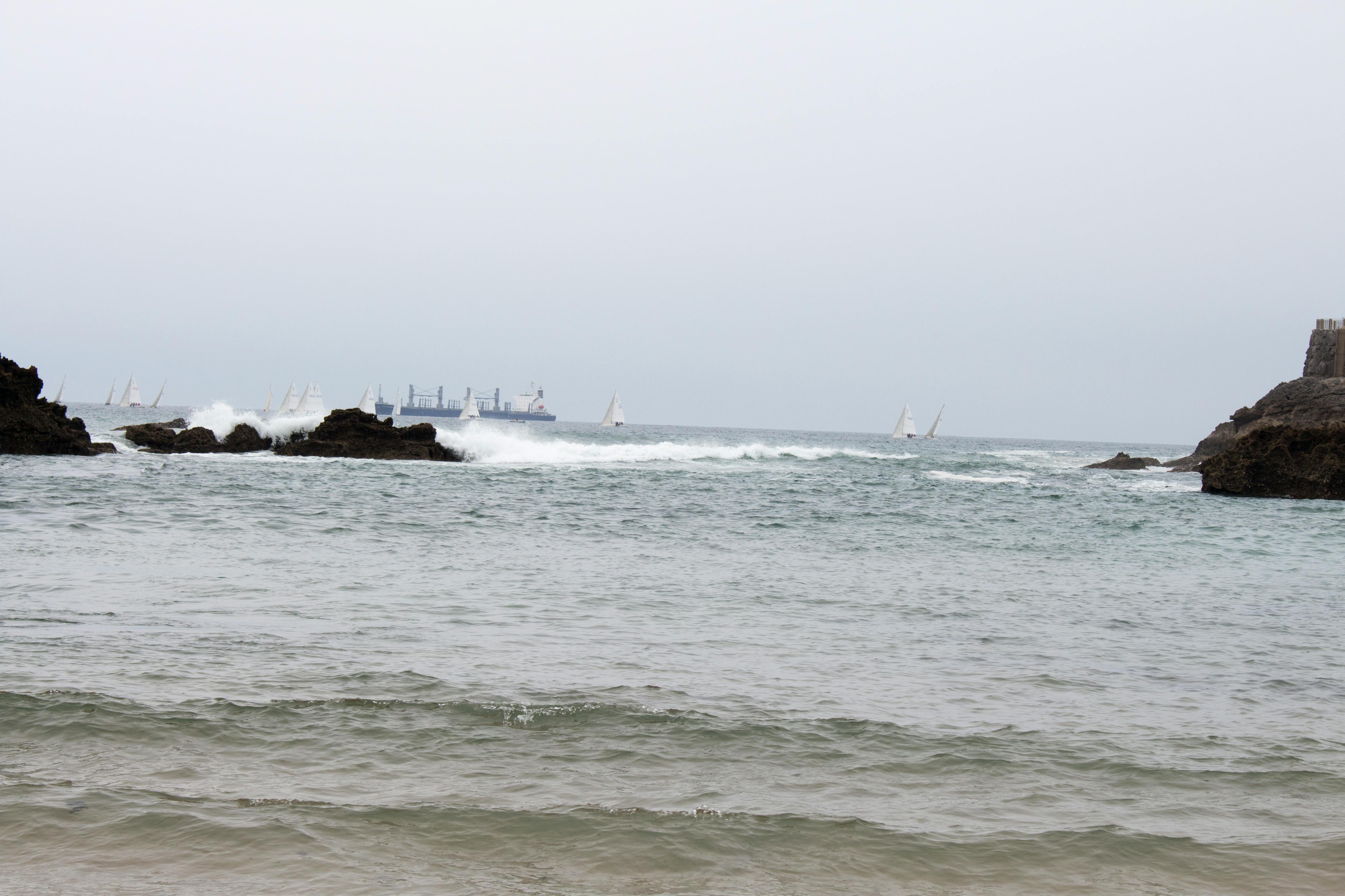 Free stock photo from Frederick · Pexels