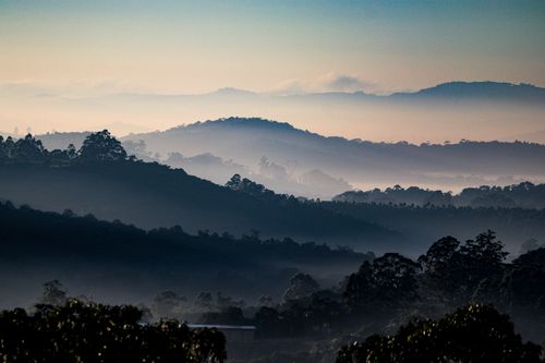Mist banked across wooded hills — photo by William Carvalho on Pexels