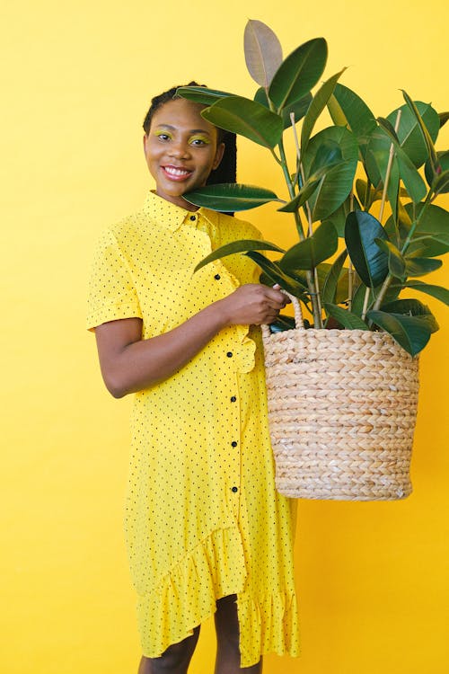 Free Smiling Woman Holding Green Plant In Wicker Basket Stock Photo