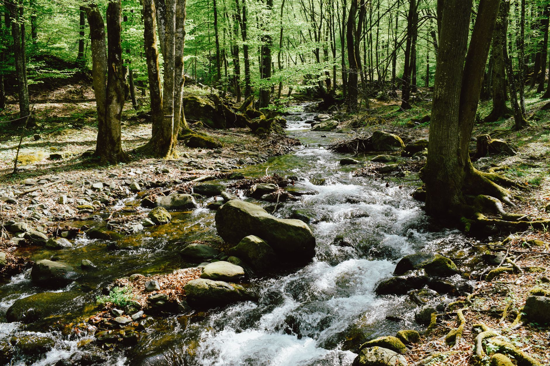 Best Water Filter for Hiking 2026: Squeeze, Straw, and Bottle Picks