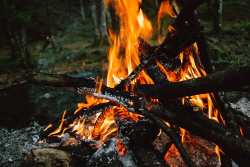 Free A close-up shot of a blazing campfire with burning logs in a natural forest setting. Stock Photo