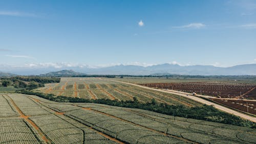 Aerial Photography of an Agricultural Land