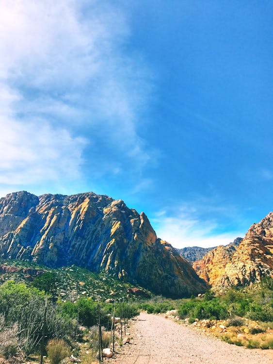 Mountain Surrounded With Plants