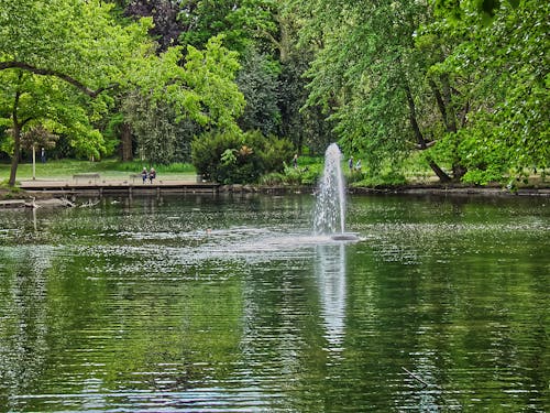 公園, 泰希 的 免費圖庫相片