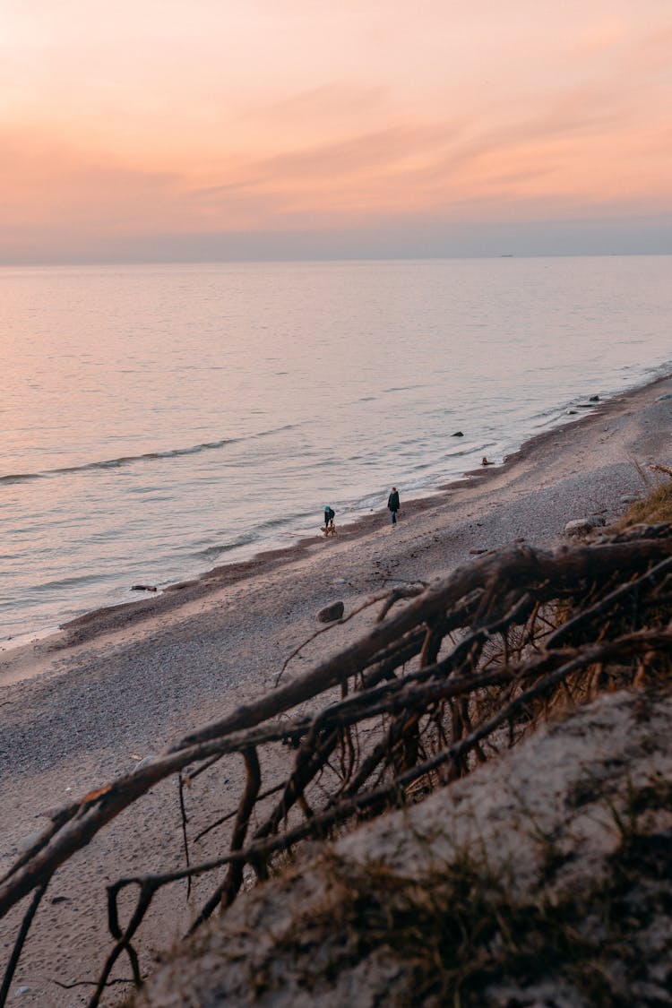 People Walking A Dog On A Beach