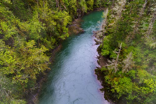 Foto d'estoc gratuïta de aeri, aigua, bosc