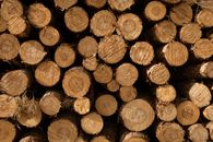 Backdrop of heap of brown firewood with rough surface and ornamental circles on cut in daylight