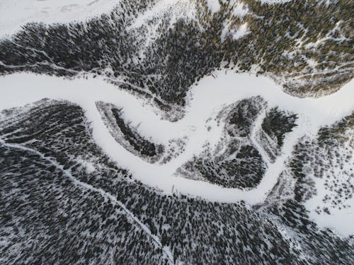 Top view of frozen river flowing through coniferous forest covered snow in winter day