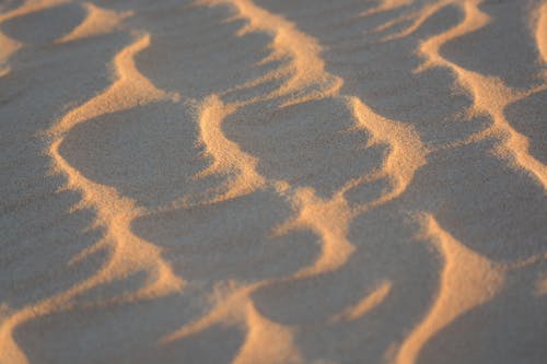 Gratis arkivbilde med mønster, sand, sanddyner