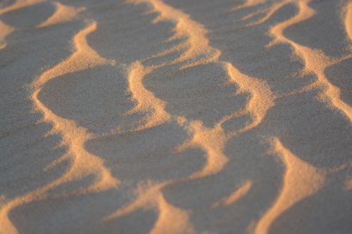 Free Elegant sand patterns creating artistic textures in the Sharjah desert landscape. Stock Photo