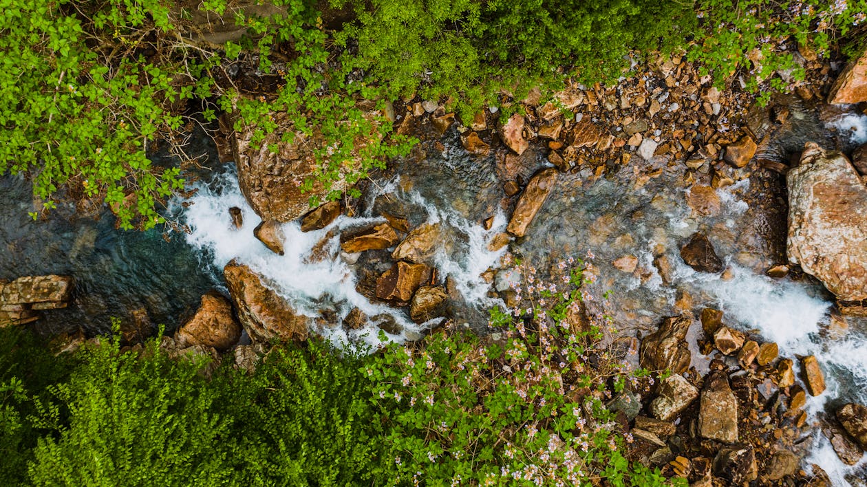 Drone view of narrow creek with foam and rough stones between bright growing trees in summer