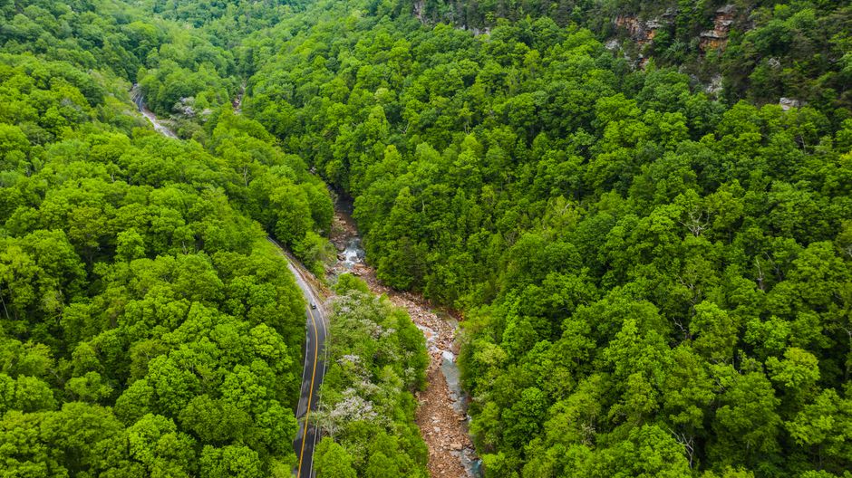 Unbeatable Chattanooga Helicopter Adventure - Iconic City & River Views Review 2026 - Aerial view of wavy asphalt roadway between bright forest with growing trees in summer