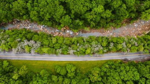 Drone view of roadway with shallow river between forest with colorful green tree tops in summer