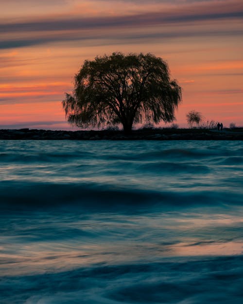 Spectacular view of wavy ocean near growing tree under bright cloudy sky at sunset in twilight