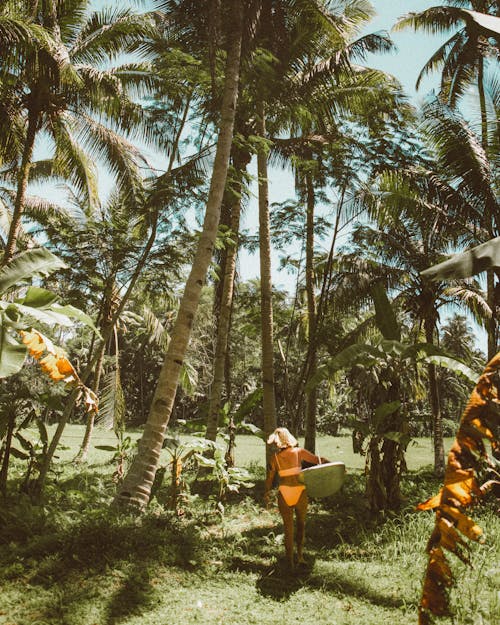 Green Palm Trees on the Field