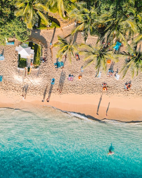 Aerial Shot of a Seashore