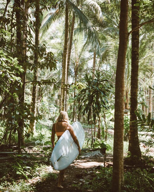 無料 サーファーガール, サーフボード, ジャングルの無料の写真素材 写真素材